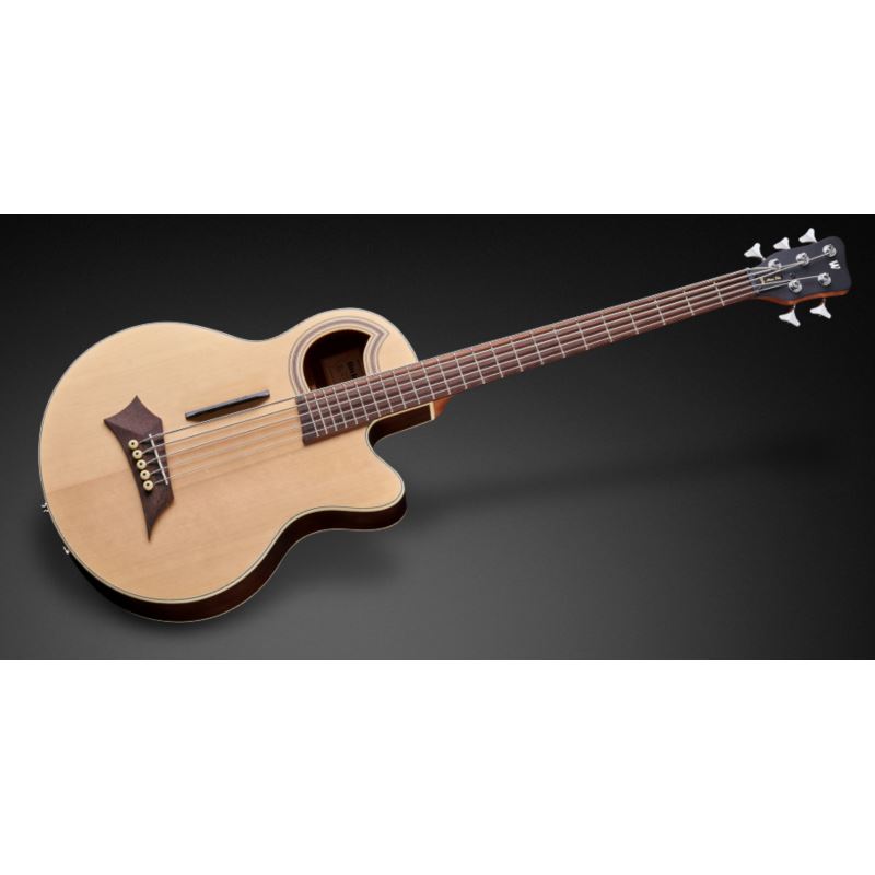 RockBass Alien Hybrid Thinline 1575 90PA SWN FR